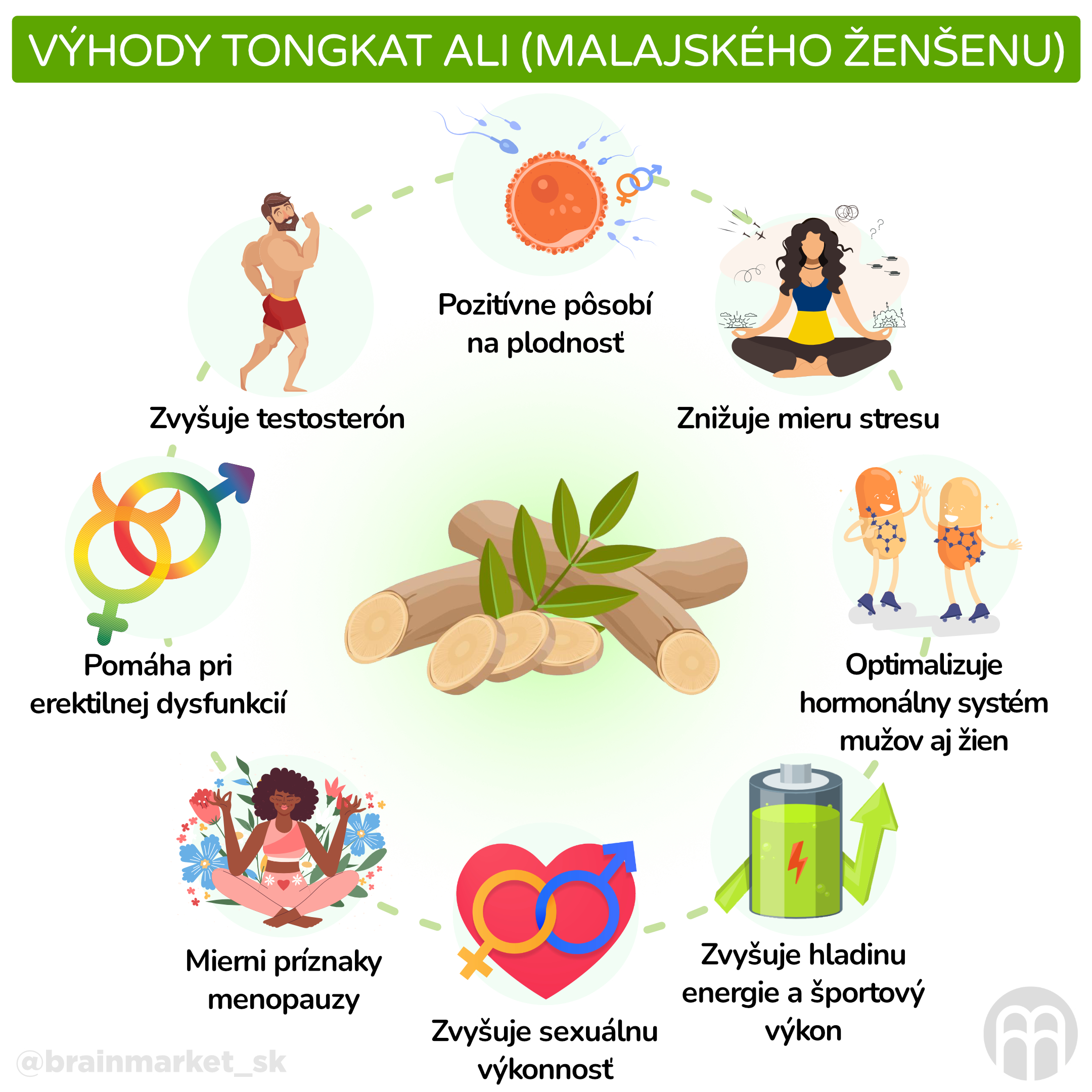 Sila koreňa Tongkat ali. Bylina pre plodnosť a potenciu. - BrainMarket.sk