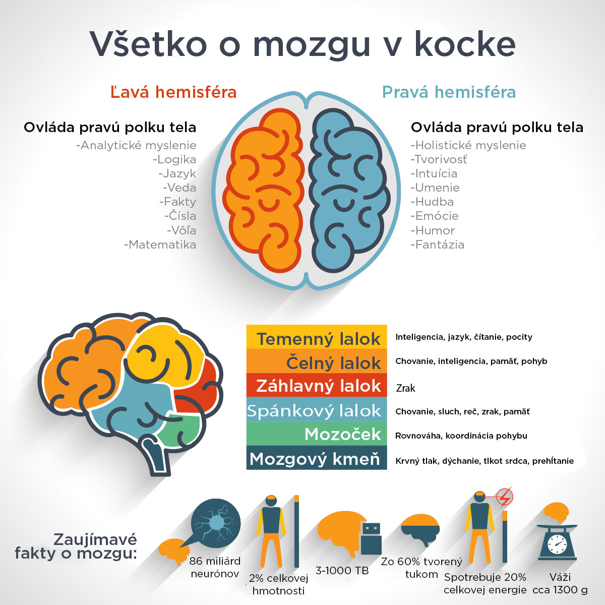 Všetko, čo ste chceli vedieť o mozgu a báli ste sa opýtať - BrainMarket.sk 