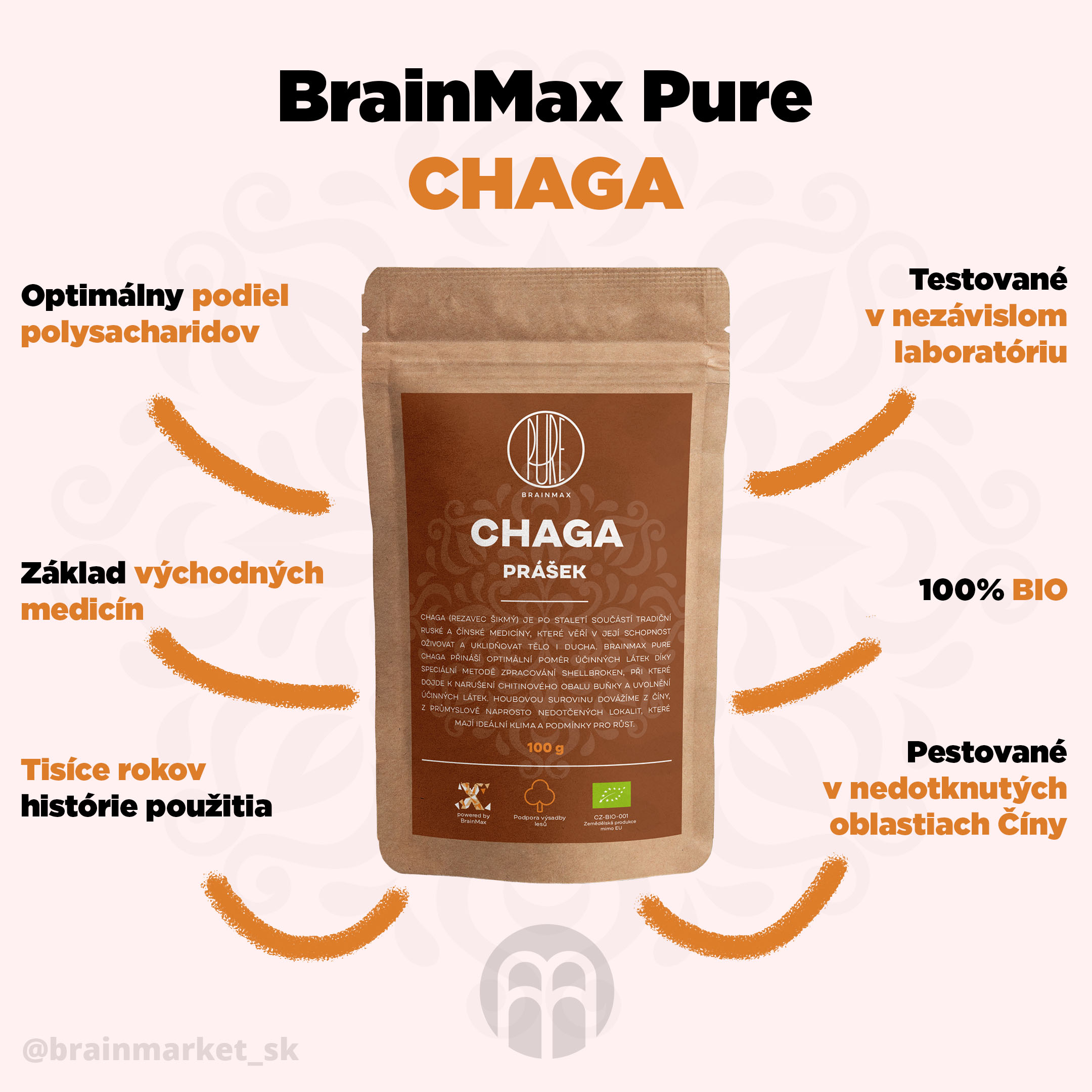 CHAGA_prasek_infographics_brainmarket_en
