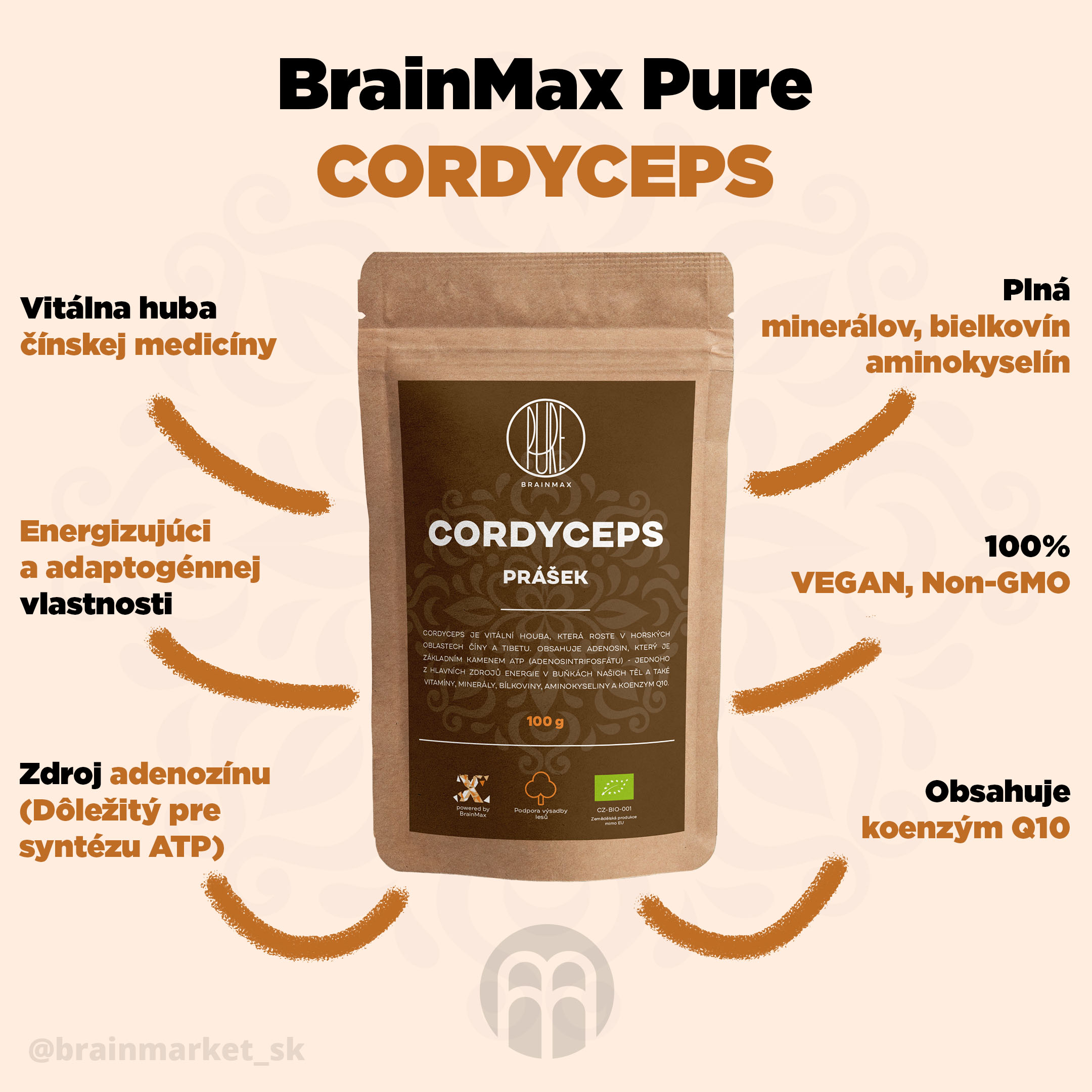 cordyceps_pavucina_infografik_brainmarket_sk