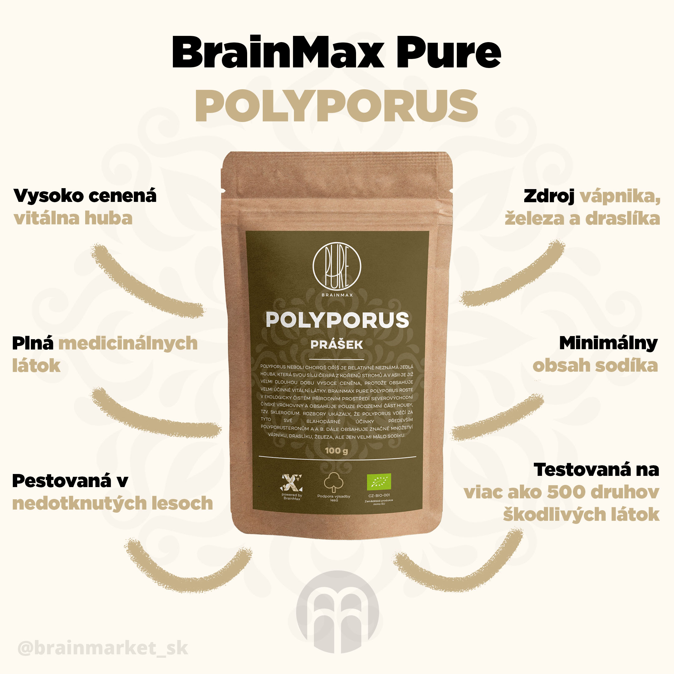 polyporus_pavucina_infografik_brainmarket_sk