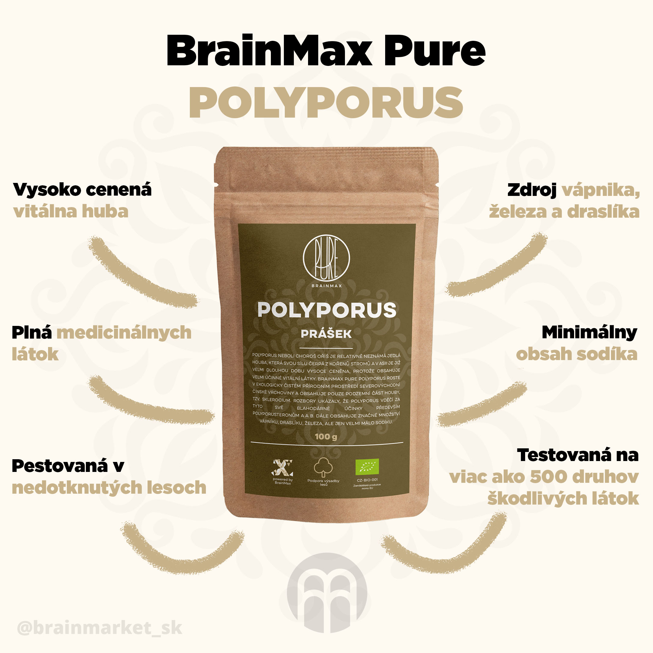 polyporus_pavucina_infographics_brainmarket_en