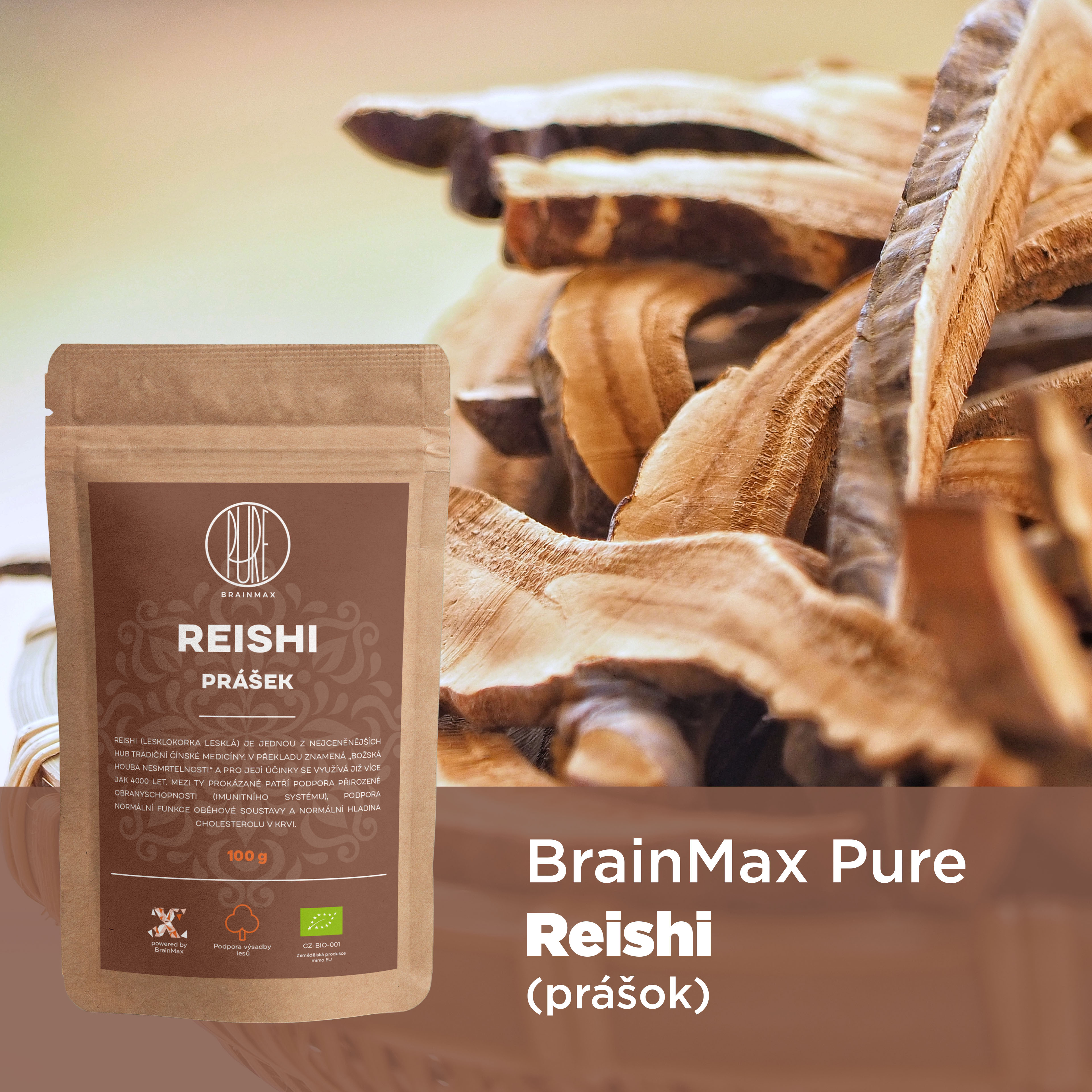 reishi_obrazek_infografika_brainmarket_sk