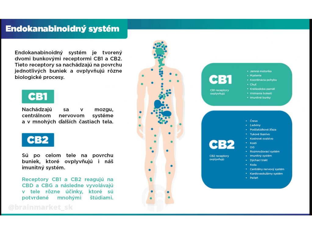 brainmax-cbd-ultra-infografika-brainmarket-cz