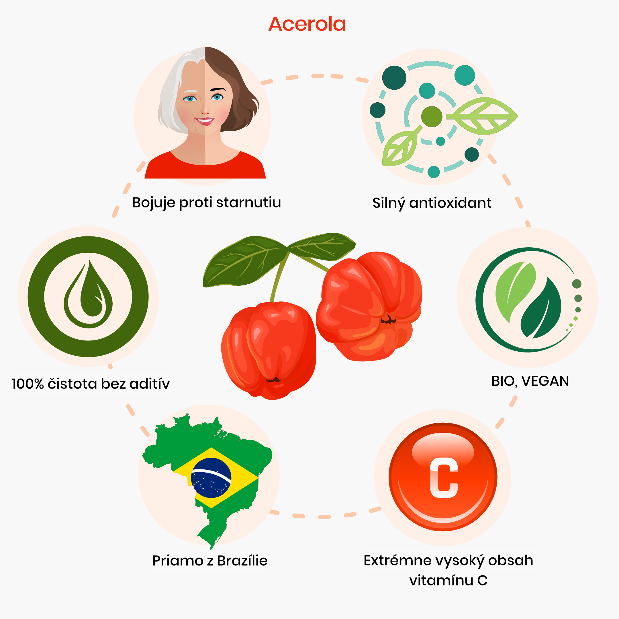 maca_prinosy_infografika_brainmarket_CZ