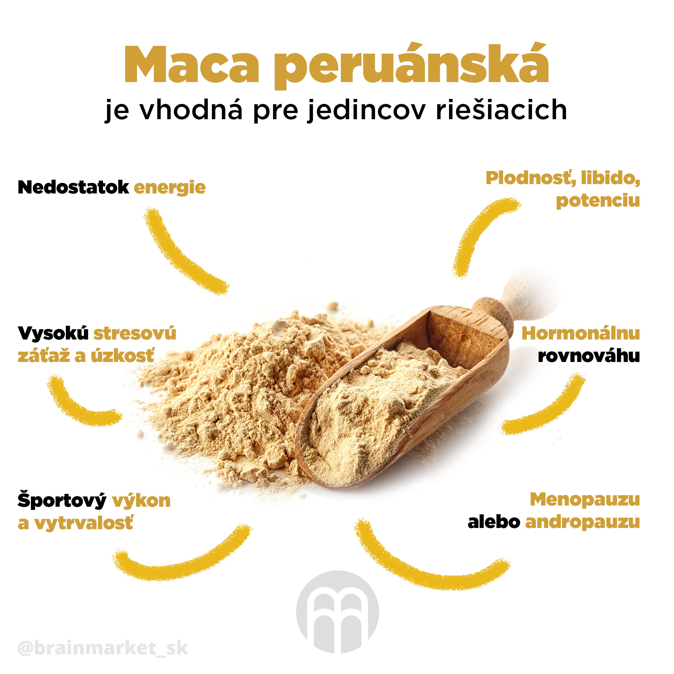 maca_prinosy_infografika_brainmarket_CZ