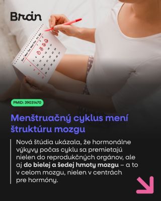 Hormóny počas cyklu nerobia zmeny „len tam dole“. V skutočnosti sa ich vplyv premieta až do štruktúry celého mozgu. 👉 V...